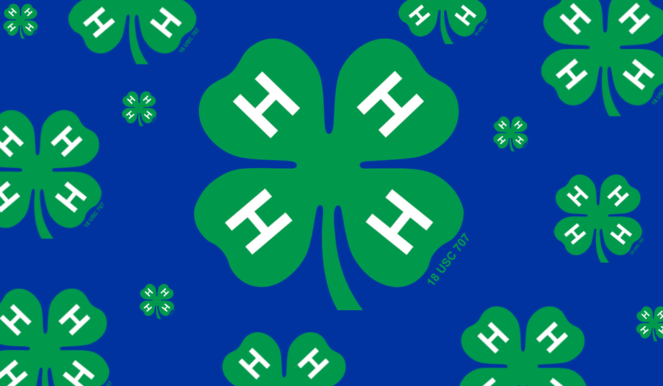 4-H clovers